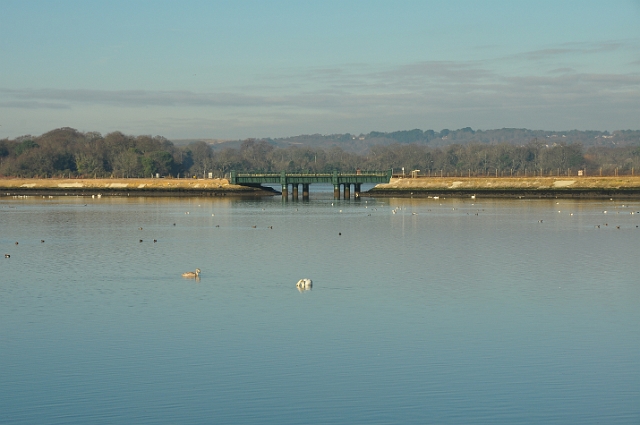 30 12 14_0140.JPG - DWT WALK - HOLES BAY, POOLE HARBOUR DORSET - 30.12.14